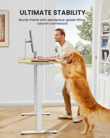 Height Adjustable Electric Standing Desk, 44 X 24 Inches Small Sit Stand up Desk, Memory Computer Home Office Desk (Natural)